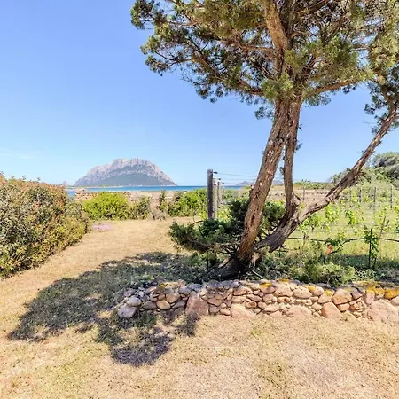 Beachfront -private Garden And Tavolara Views *